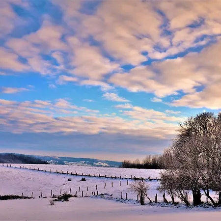 Maison Jeanny, Full House With Big Garden * Frasnes-lez-Anvaing