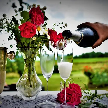 Maison Jeanny, Full House With Big Garden Frasnes-lez-Anvaing