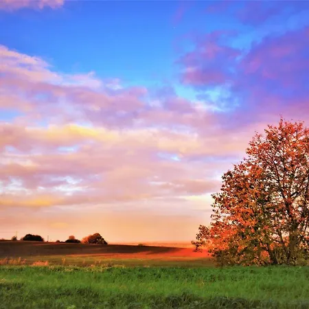 Maison Jeanny, Full House With Big Garden Casa vacanze