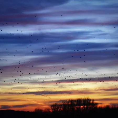 Maison Jeanny, Full House With Big Garden