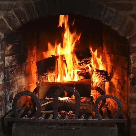 Maison Jeanny, Full House With Big Garden 別荘 Frasnes-lez-Anvaing