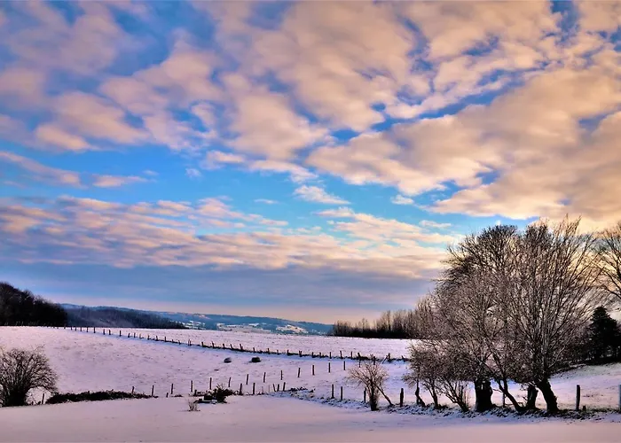 Maison Jeanny, Full House With Big Garden * Frasnes-lez-Anvaing