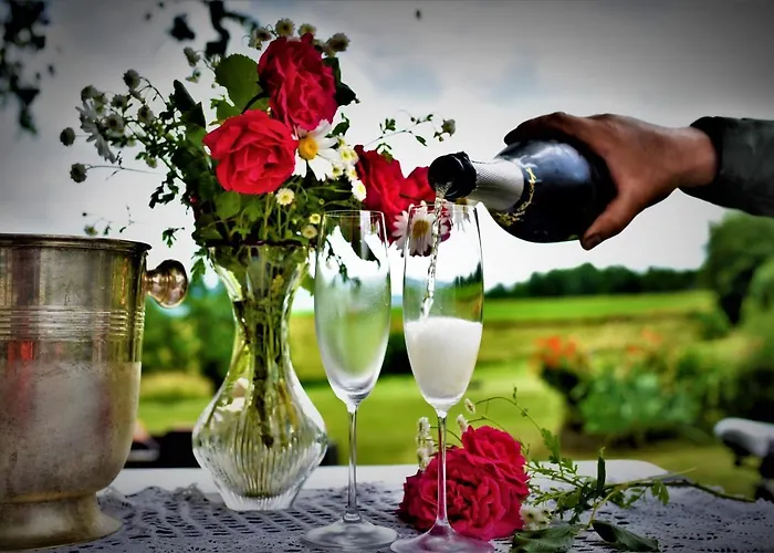 Maison Jeanny, Full House With Big Garden Frasnes-lez-Anvaing