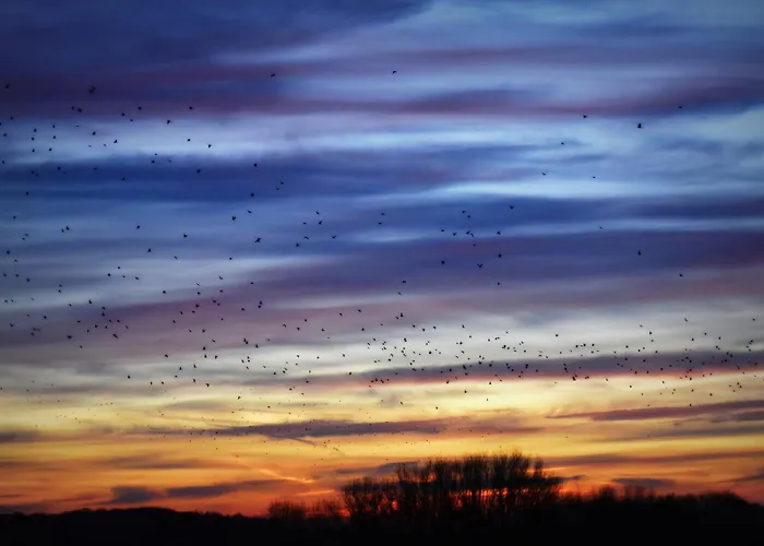 Maison Jeanny, Full House With Big Garden